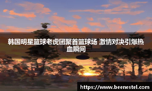 NBA直播免费在线观看无插件