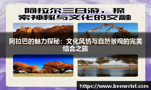 NBA直播免费在线观看无插件